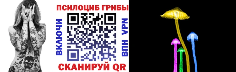 хочу наркоту  Скопин  Галлюциногенные грибы прущие грибы 